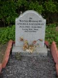 image of grave number 268811